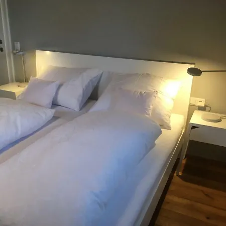 Apartment In Zentraler Lage Im Rheintal *